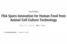 动物细胞培育的人造肉首获食用安全批准！美FDA推动食品供应创新图片