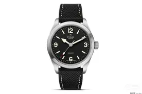 2万元左右，有没有颜值性能兼具的运动表？图片