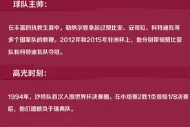 世界杯32强巡礼C组丨沙特阿拉伯：渴望证明自己图片