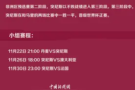世界杯32强巡礼D组｜突尼斯：非洲劲旅期待突破图片