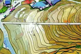 上堡梯田——高山梯田水淼淼图片
