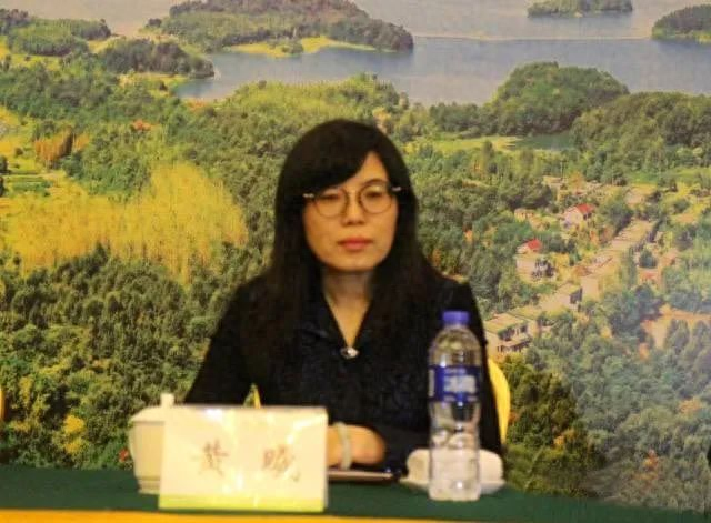 党委报道逾期停止党籍6，中国建设银行副行长黄毅 配图01