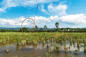 院落蝶变 乡村焕新彩（艺术赋能美好生活）图片