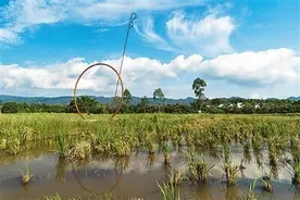 院落蝶变 乡村焕新彩图片