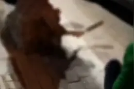 阿姨为占领广场舞地盘，敲掉停车线写下“不准停车”官方回应图片