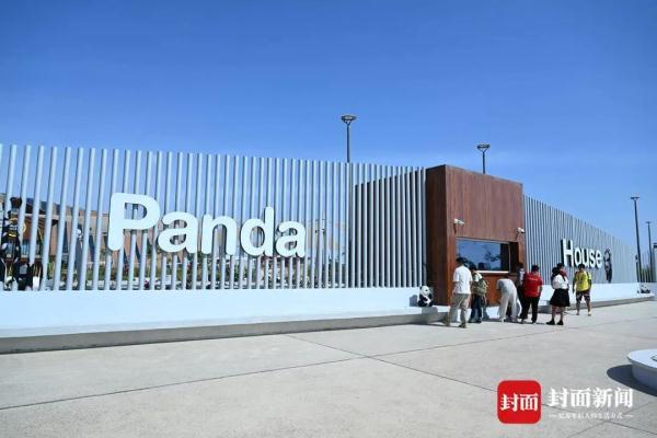 四川话亲测有效！对视瞬间，双方DNA都动了