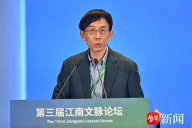 程章灿：南京不妨多个雅称，叫“江上”图片