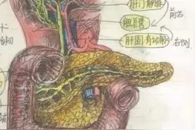 大学生笔记大赏！网友：学到了，录取通知书哪里领？图片