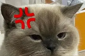 退一赔三！女子整容变“丑”，思明法院这样判……图片
