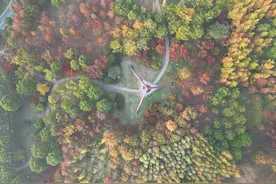 新时代 新征程 新伟业 | 无锡精管善治打造“全国最干净城市”干好“绣花活”守护“幸福城”图片