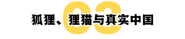 中国过气电视剧，正在日本下岗再就业