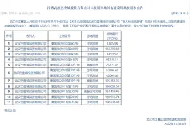 武汉无偿收回恒大科技旅游城11宗地块，土地面积约154万平方米图片