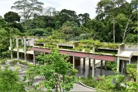 新加坡射靶场自然公园正式开放啦！游玩徒步又一个好去处图片