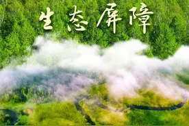 守好最北生态屏障——黑龙江大兴安岭林区转型记图片