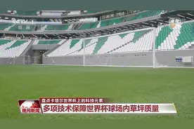 半自动越位识别技术又快又准！比赛用球史上最快！卡塔尔世界杯“嵌满”这些科技元素图片