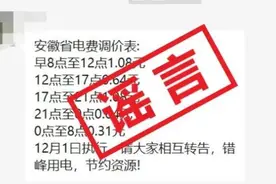 安徽省公布最新电价调价表？假的图片