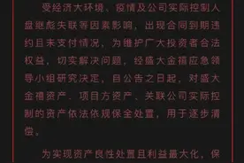 190亿爆雷？湖南监管：已成立专项小组图片