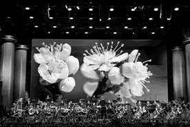 国风音乐让传统文化绽放时代风采图片