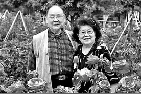 王善朴、杨华瑞：台上黄金搭档，台下伉俪情深图片
