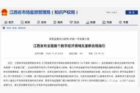江西出台数字经济反垄断合规指引，涉元宇宙、VR等新兴领域图片