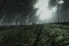 《燕云十六声》大侠在路边抢马骑 还有没有王法啊？图片