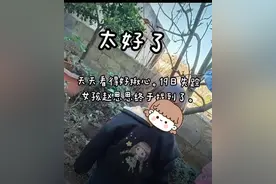 两岁女童失踪四天在家附近山上被发现，父亲：山路崎岖孩子自己无法到达图片