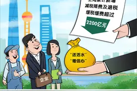 （图表·漫画）［经济］税费支持政策图片