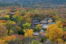 航拍南京紫金山 色彩斑斓犹如调色盘图片