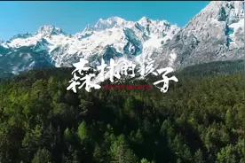 森林的孩子图片