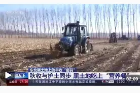 东北黑土地上的丰收“密码”：秋收与护土同步 积极推行“田长制”图片