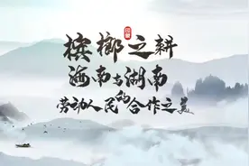 槟榔之耕：海南与湖南劳动人民的合作之美——槟榔图片