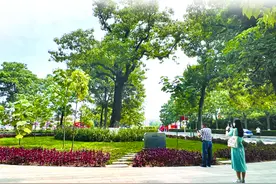 历史文化源流｜为政以德 政者正也图片