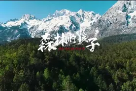森林的孩子视频封面