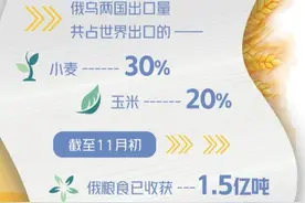 俄对国际粮食市场的影响不容忽视图片