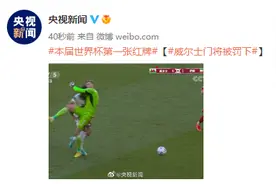 本届世界杯第一张红牌 威尔士门将被罚下图片