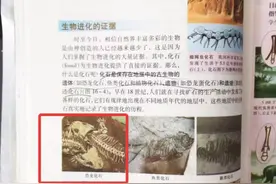 曾给课本纠错的沈阳初中生质疑教材恐龙化石配图或出错，出版社回应图片