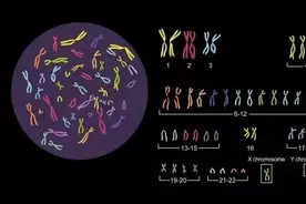 浙江女子惊了：“3年未孕，一查竟说是个男人？！”图片