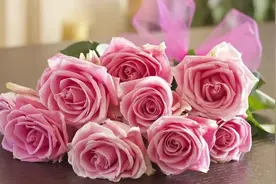 学会这 3 点，让你买的鲜花持久美丽图片