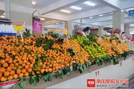 广西柑橘价格上涨！脆蜜金桔38元/公斤、沙糖橘16元/公斤……图片