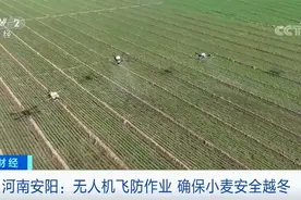 河南安阳开展无人机飞防作业 确保小麦安全越冬图片