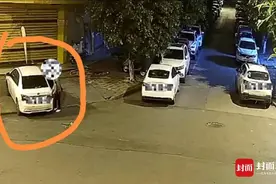 两男子拉车门“拆盲盒”被抓获 警方提醒车主“离车务必上锁”图片