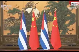 国际锐评丨真正的朋友这样深化新时代特殊友好关系图片