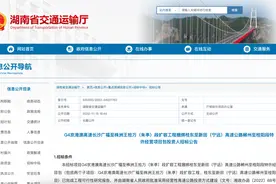 京港澳高速扩能东移，长沙四环要来了？图片