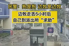 边牧走丢5小时后，自己到派出所“求助”图片