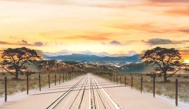 红栆花胶痩肉海参汤 2026年花胶炖海参的功效