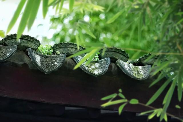 花胶炖鹿茸可以吗 花胶炖鹿茸的功效