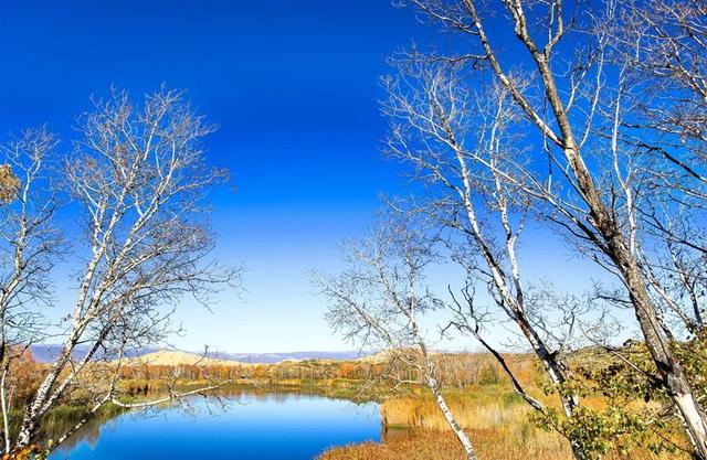 花胶鹿茸炖鸡的做法 2026年花胶鹿茸炖鸡的做法窍门