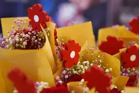 小时候忘记晒的小红花，今天一次补上图片