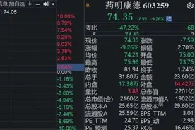 实控人拟大举减持套现 药明康德放量大跌超9%图片