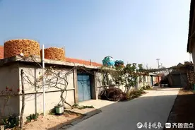 山东荣成：美丽乡村崖西镇隆峰村图片